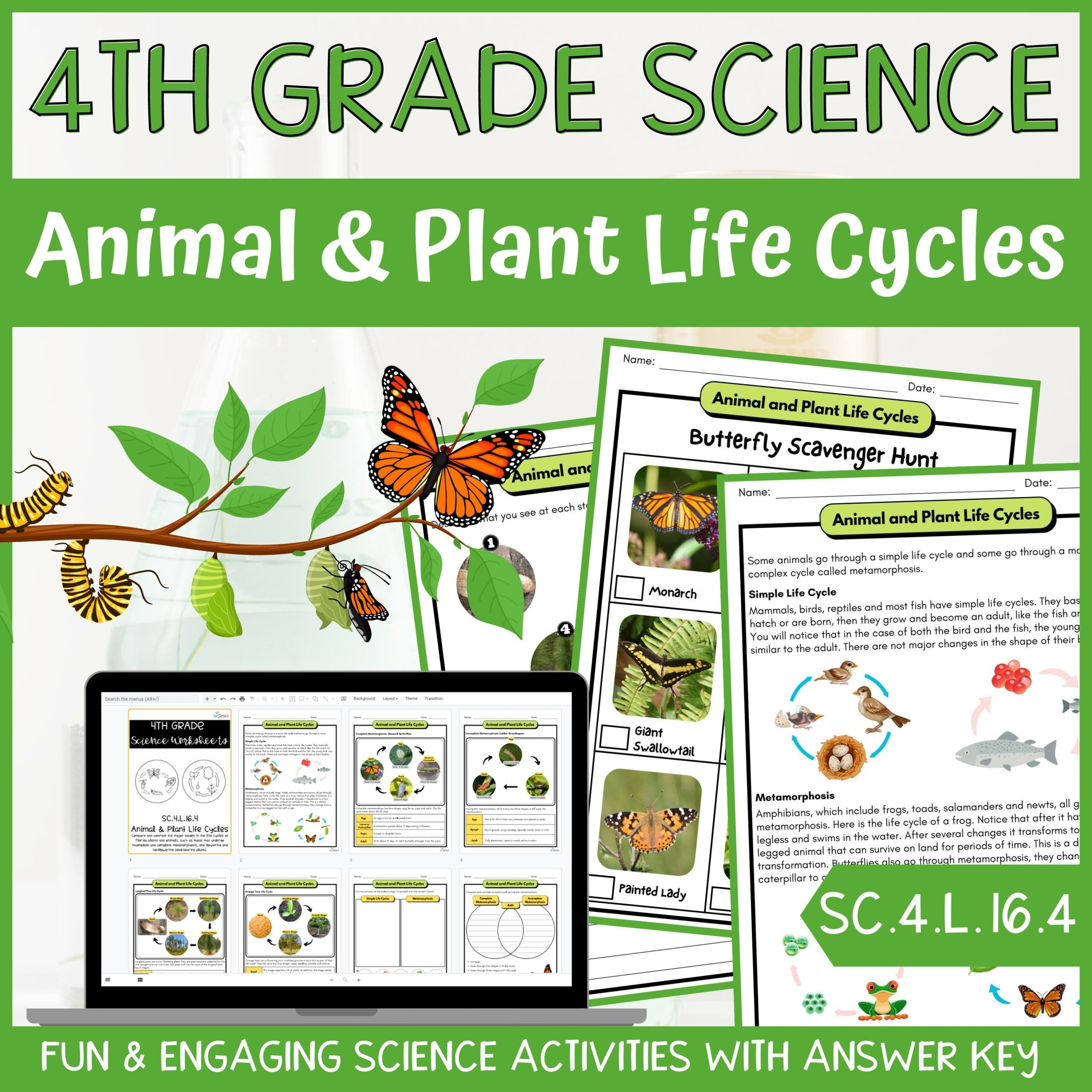 Plant and Animal Life Cycles Activity & Answer Key 4th Grade Life Science -  Classful