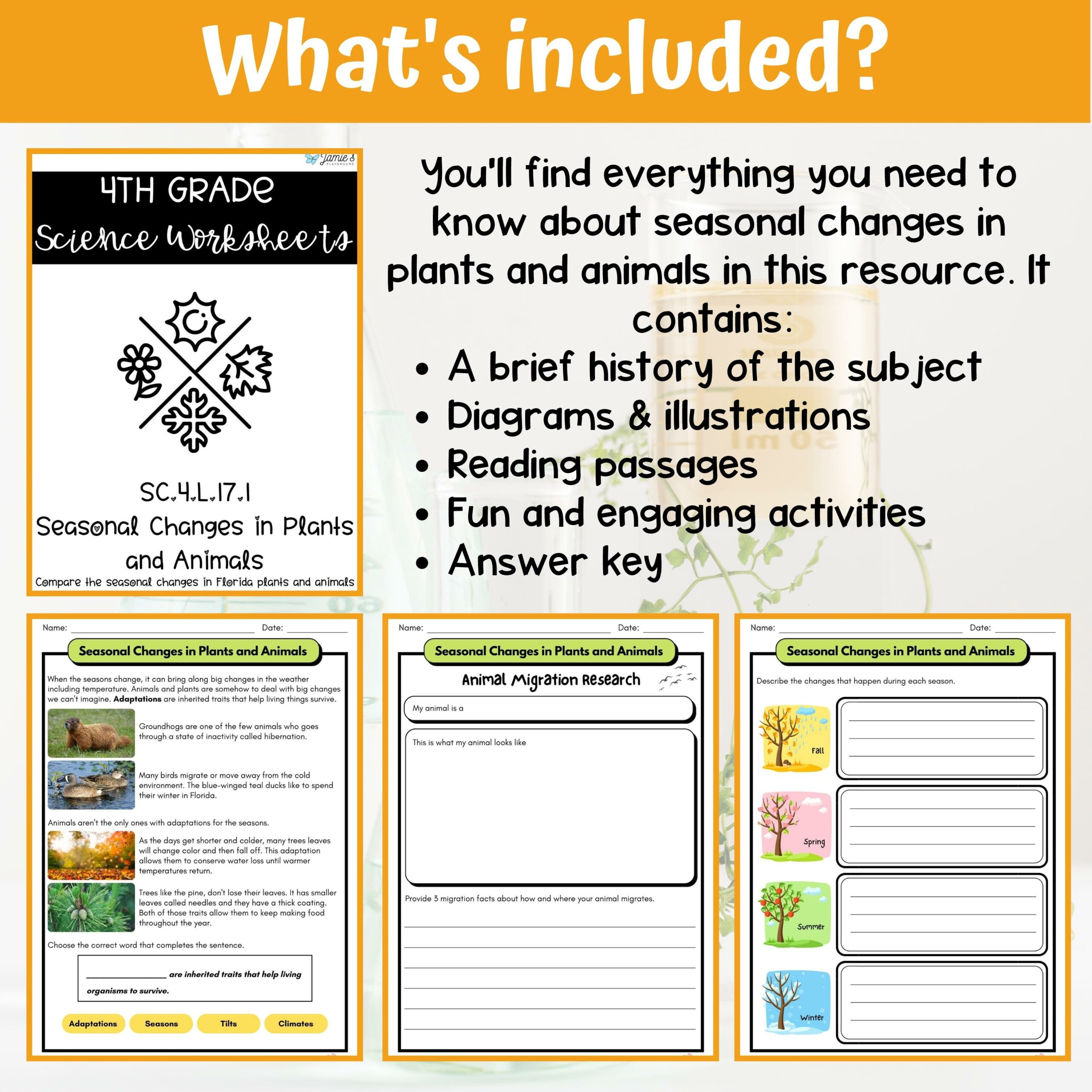 Seasonal Changes in Florida Plant and Animals Activity & Answer Key 4th  Grade Life Science - Classful