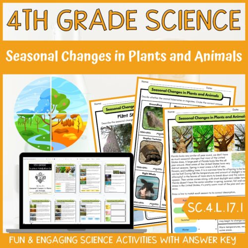 Seasonal Changes in Florida Plant and Animals Activity & Answer Key 4th Grade Life Science's featured image