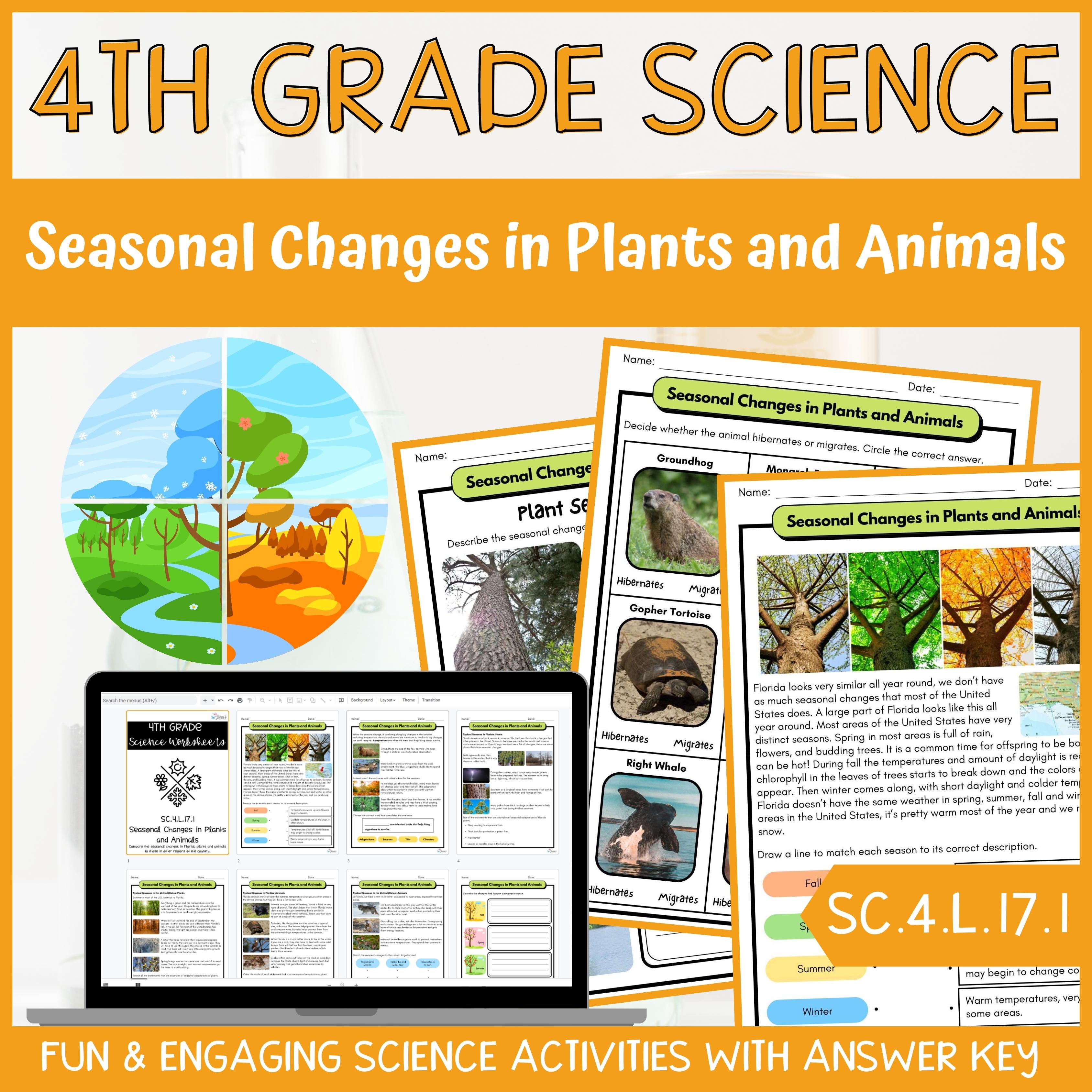 Seasonal Changes in Florida Plant and Animals Activity & Answer Key 4th ...