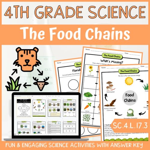 Food Chains Activity & Answer Key 4th Grade Life Science's featured image