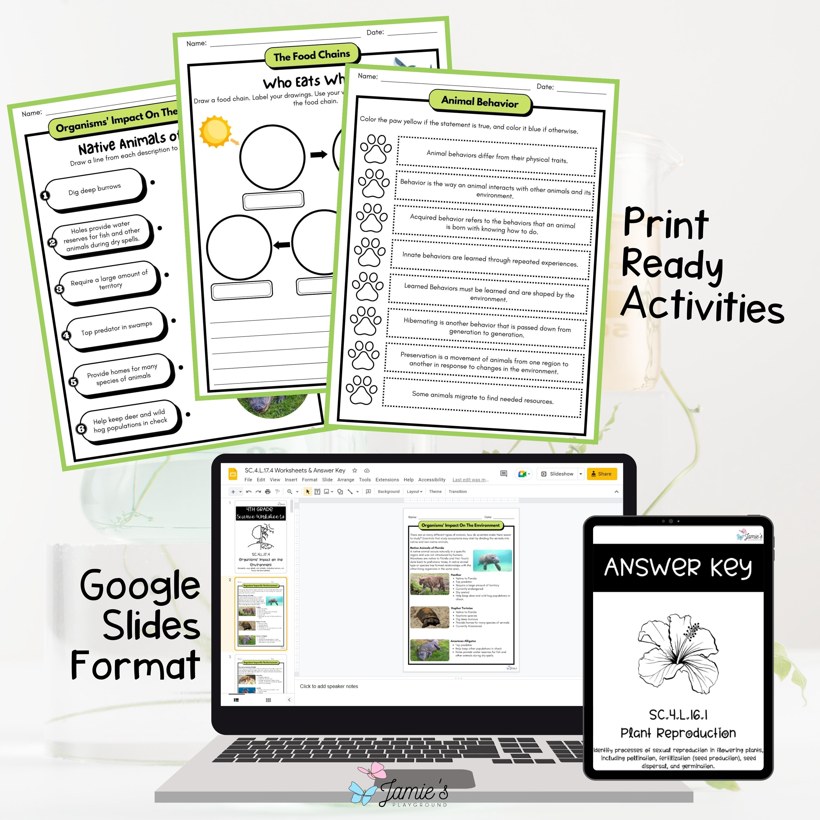 4th Grade Life Science BUNDLE - NGSS Aligned Activities & Answer Key ...