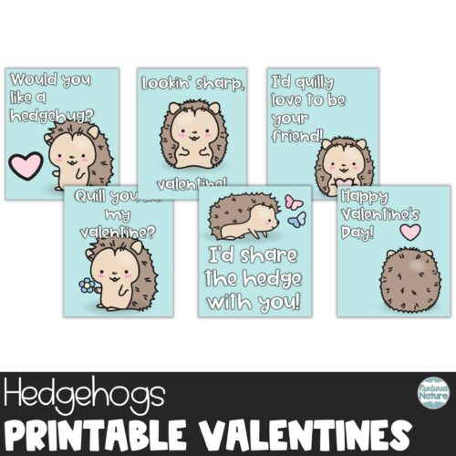 Hedgehog Printable Valentine’s Day Cards for Students's featured image