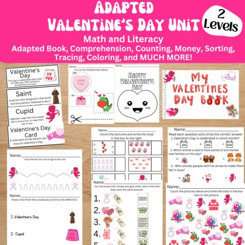 Adapted Valentine's Day Math and Literacy Unit for Special Education (2 Levels)'s featured image