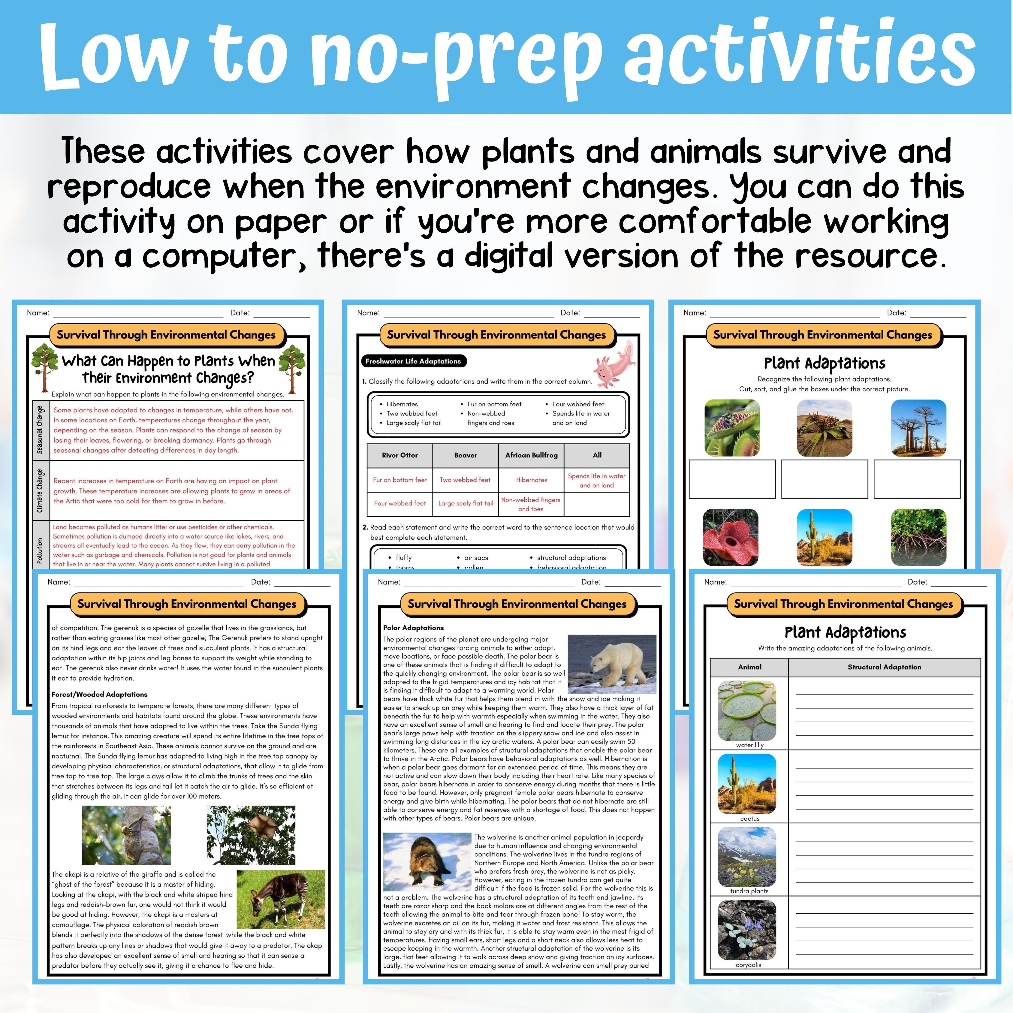 Plant and Animal Survival Activity & Answer Key 5th Grade Life Science ...