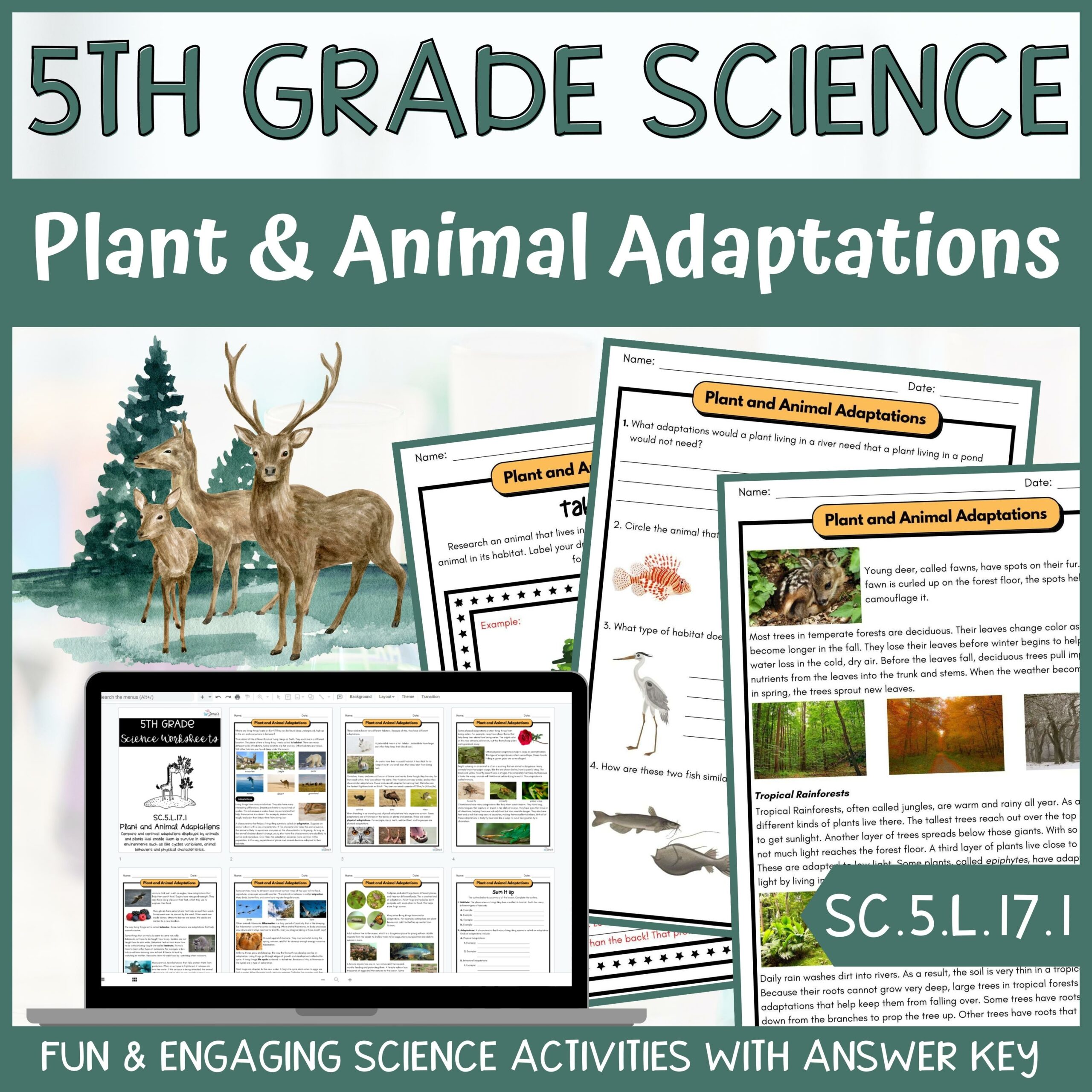 Plant & Animal Adaptations- 5th Grade Life Science - ACTIVITIES + ANSWER  KEY - Classful
