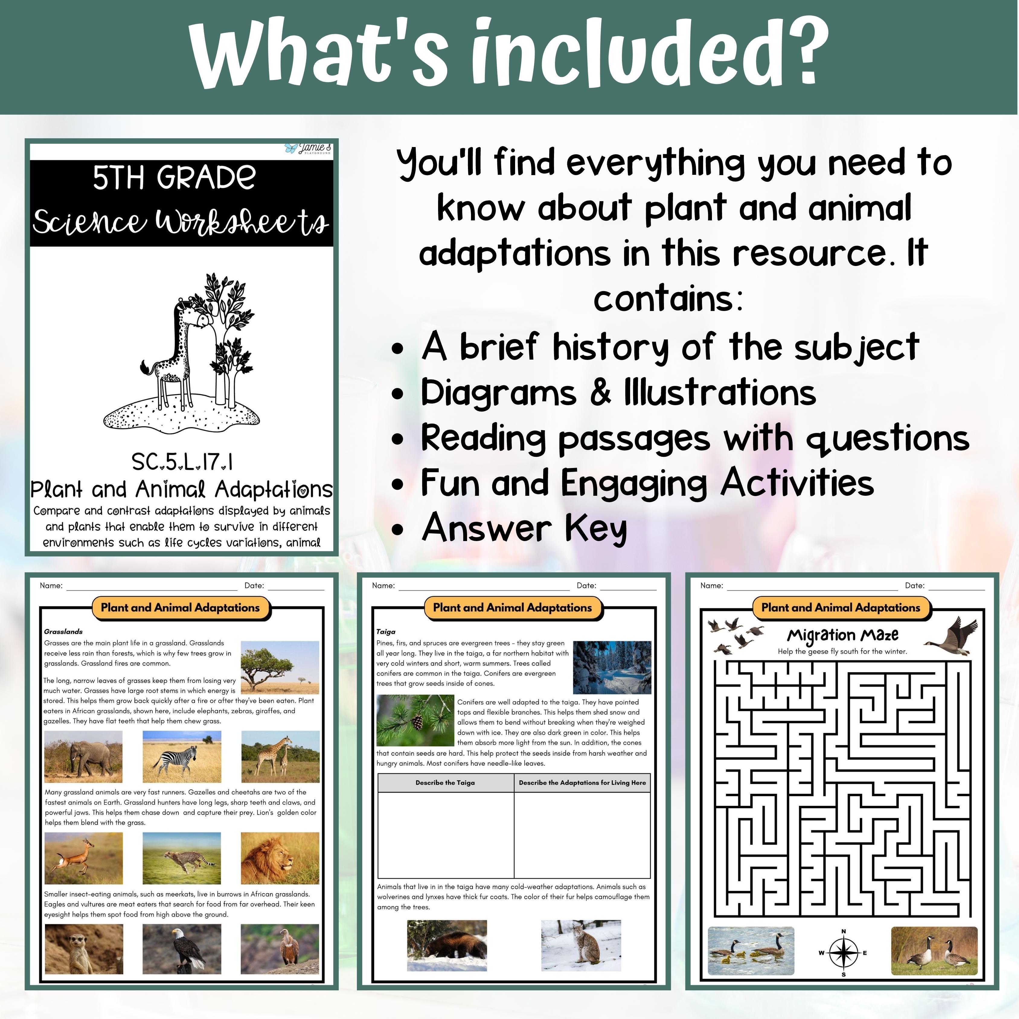 Taiga Plant and Animal Adaptations Worksheets