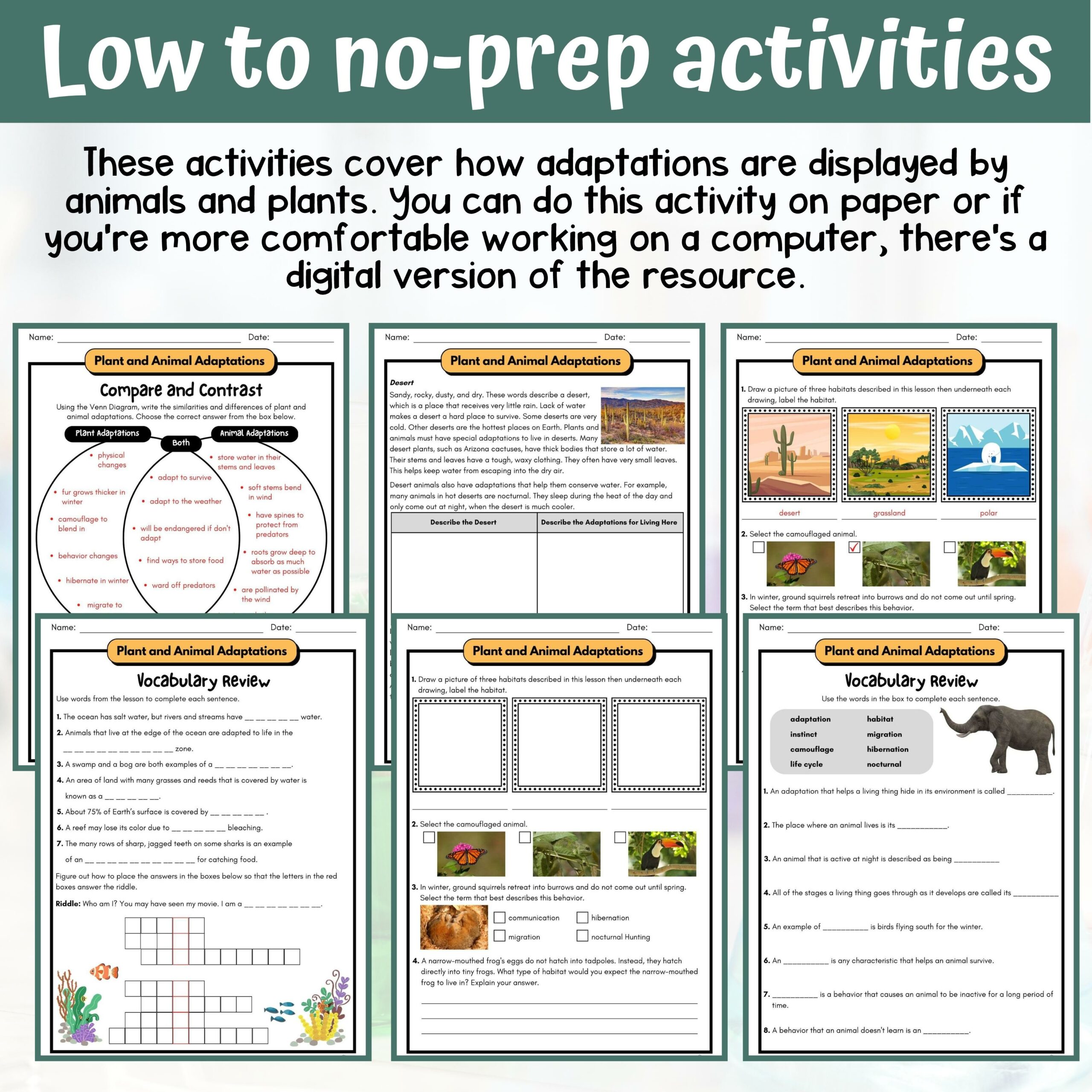 Plant & Animal Adaptations- 5th Grade Life Science - ACTIVITIES + ANSWER  KEY - Classful