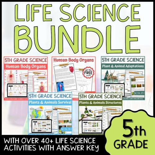 5th Grade Life Science BUNDLE - NGSS Aligned Activities & Answer Key's featured image