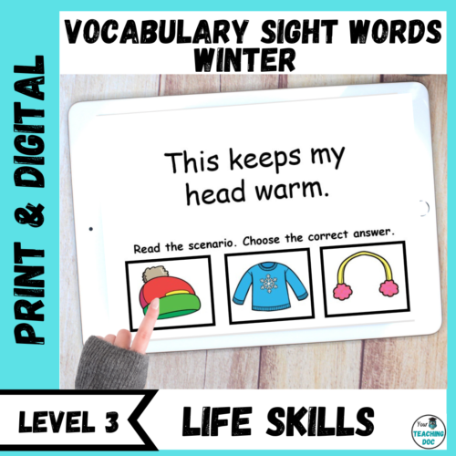 Winter Functional Vocabulary Sight Word Unit Level 3 w/ Task Cards's featured image