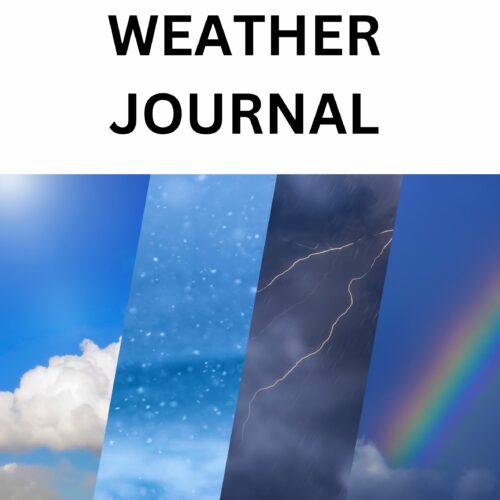 Weather Tracking Journal and two mini labs Middle School Science Activity's featured image