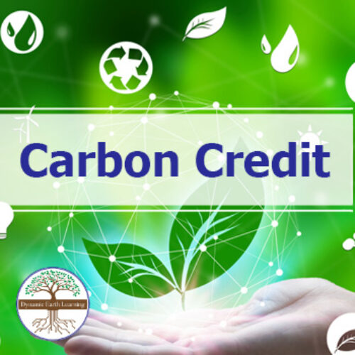 What is Carbon Credit? | Video, Handout, and Worksheets's featured image