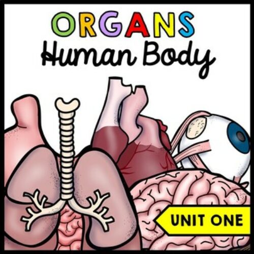 Human Body - Organs - Special Education - Science - Reading - Writing - Unit One's featured image