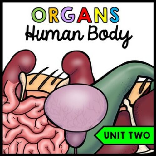 Human Body - Organs - Special Education - Science - Reading - Writing - Unit Two's featured image