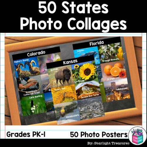 50 States Photo Collage Posters - 50 States Symbol Posters's featured image
