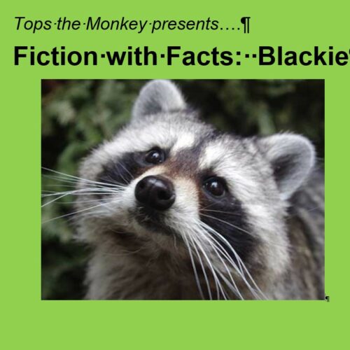 Fiction with Facts: Blackie's featured image