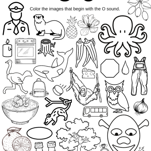Letter O Image Finder Coloring Worksheet's featured image
