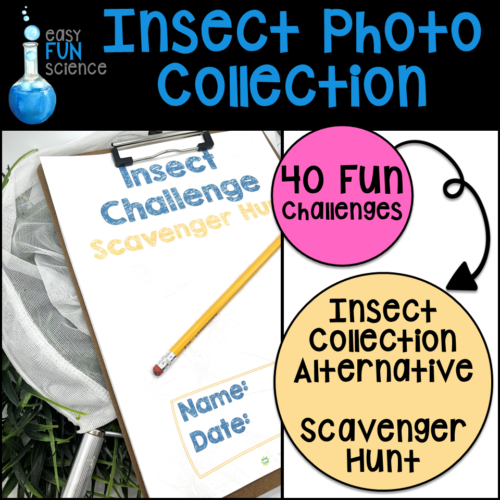 Insect Collection Alternative's featured image