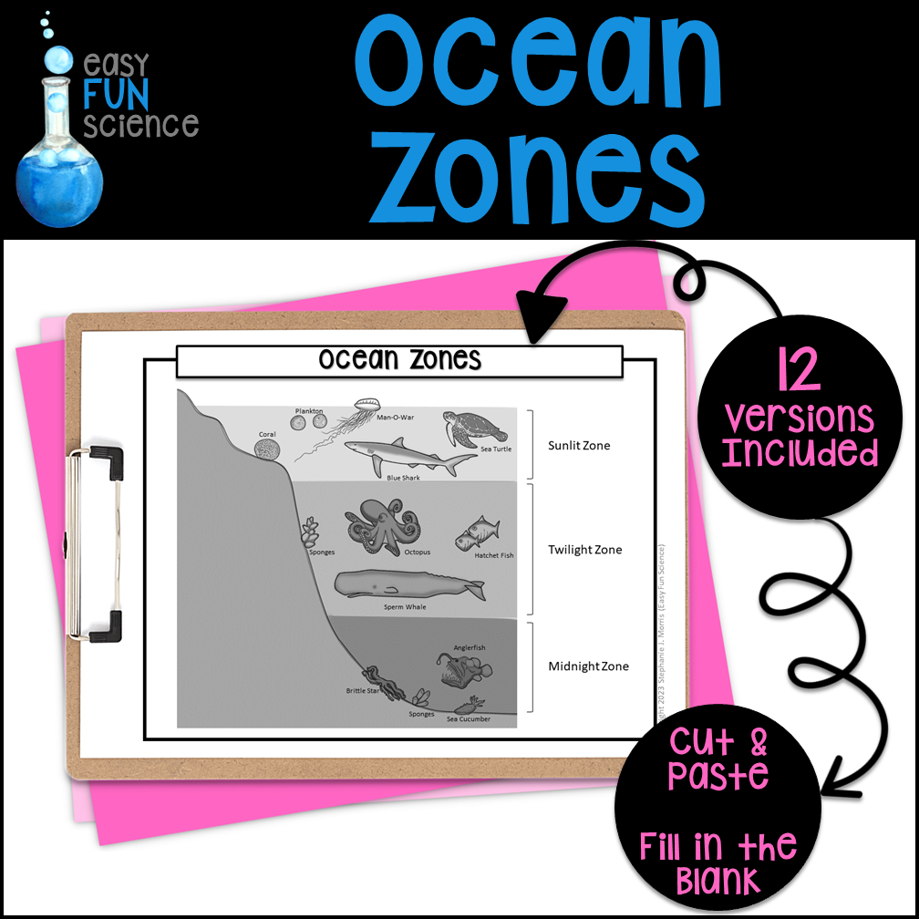 ocean-floor-diagram-printable-review-home-co