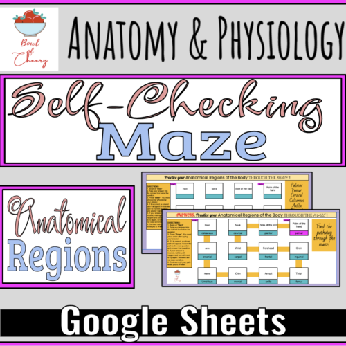 Self-Checking Maze: Anatomical Regions's featured image