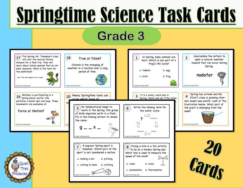 Life Cycle Math Task Cards - Classful