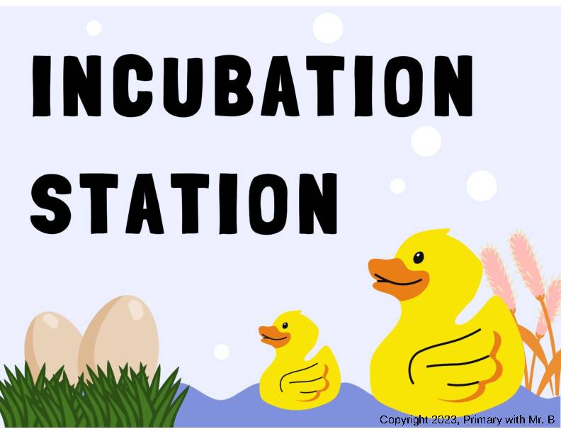 Incubation Station Posters for Chicken & Duck Hatching / Bulletin Board Classful