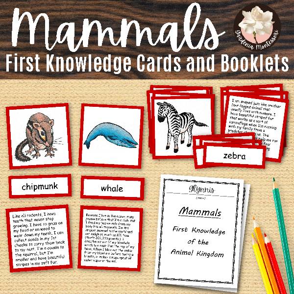 Mammals Cards and Booklets - Montessori Zoology Animal Classification  Biology - Classful