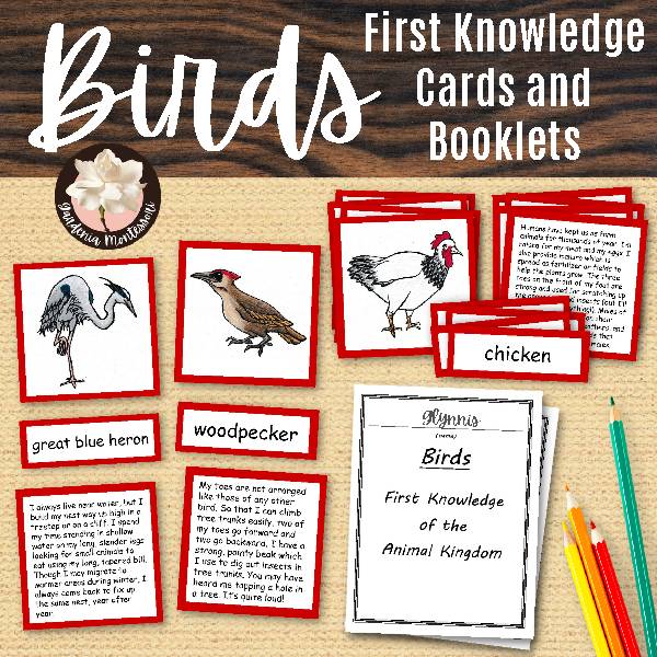 Birds Cards and Booklets - Montessori Zoology Animal Classification Biology  - Classful