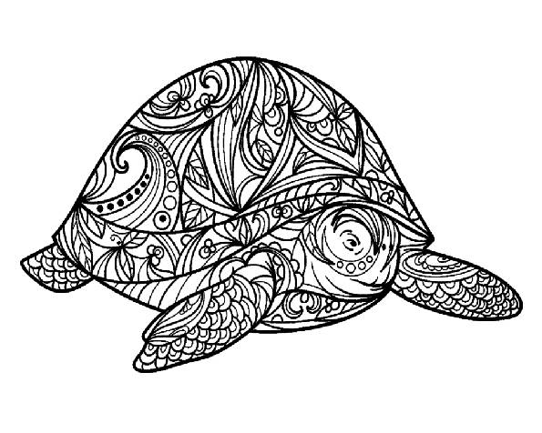 48 Printable Coloring Pages! Stress Relief Coloring Digital Download!