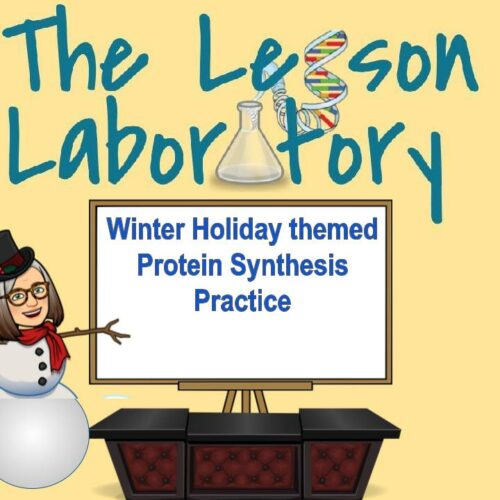 Winter Holiday Themed Protein Synthesis Practice's featured image