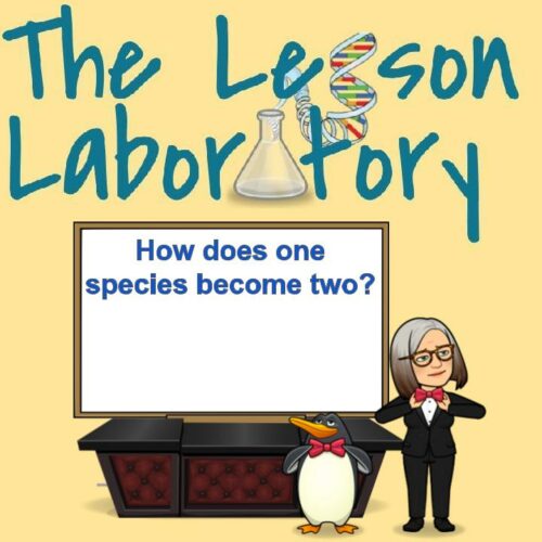 Speciation (How does one species become two?)'s featured image