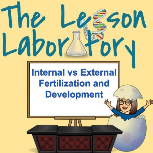Internal vs. External Fertilization and Development's featured image