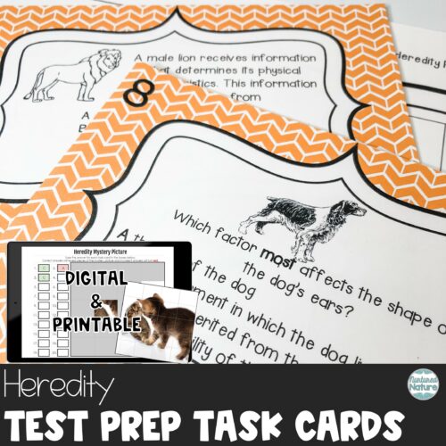 Heredity Genetic Traits - Science Review Test Prep Task Cards Digital Printable's featured image