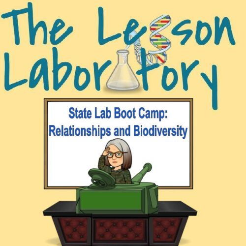 State Lab Boot Camp: Relationships and Biodiversity's featured image