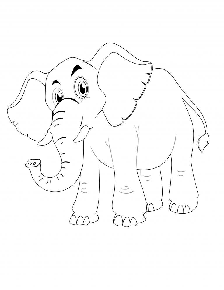 Animals Coloring pages
