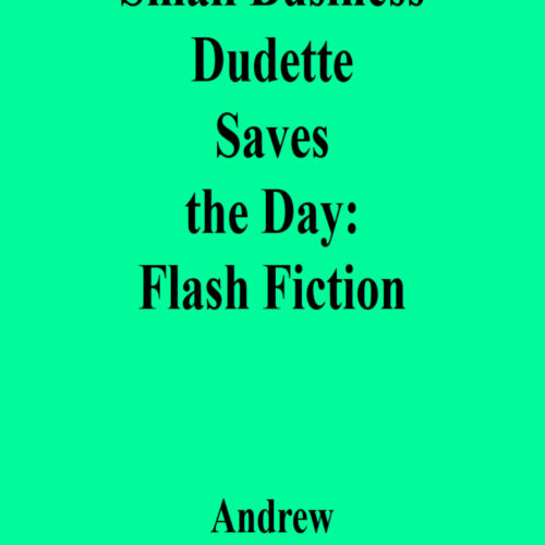 Small Business Dudette Saves the Day: Flash Fiction's featured image