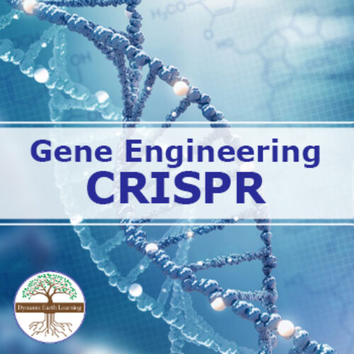 Gene Engineering CRISPR Controversy| Video, Handout, and Worksheets's featured image