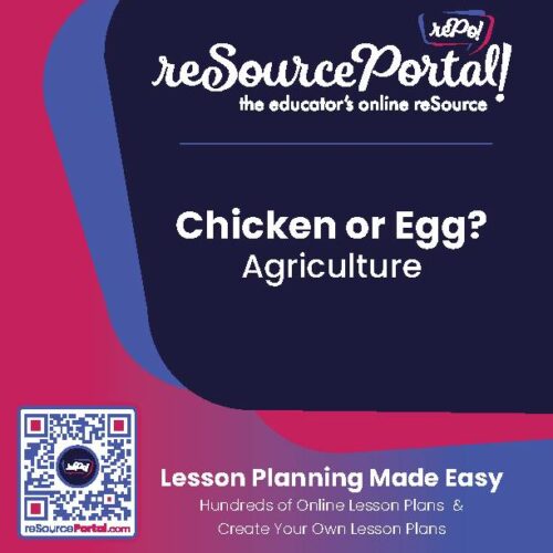 Chicken or Egg?'s featured image