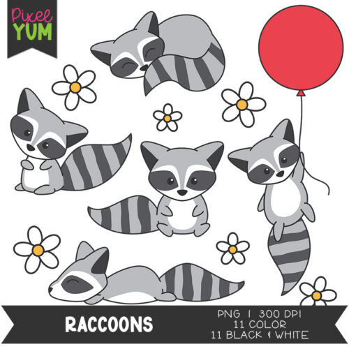Raccoons Clipart - Cute Animal Clip Art - Commercial Use OK's featured image