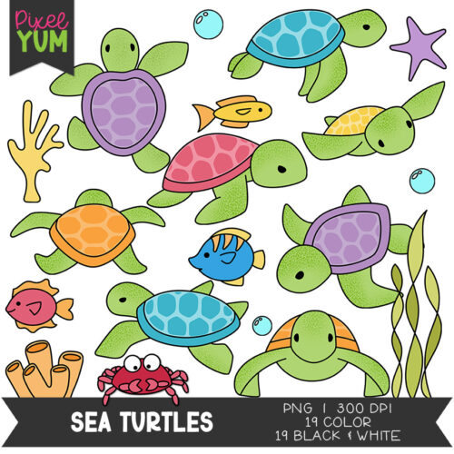 Sea Turtles Clipart - Ocean Animal Clip Art - Commercial Use OK's featured image