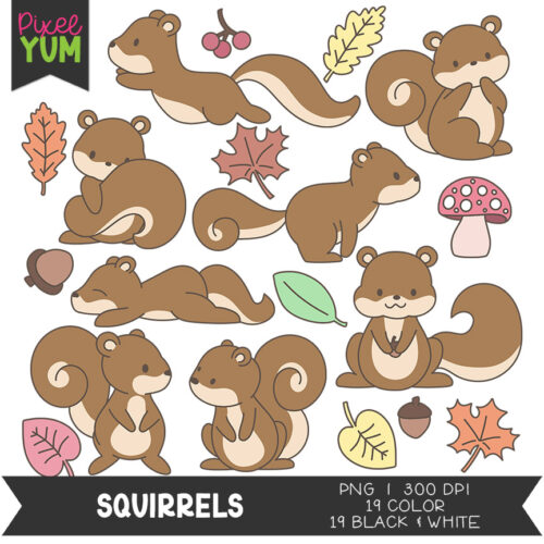 cute squirrel clip art