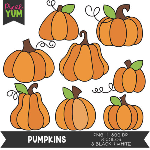 Pumpkin Clipart - Cute Squash Clip Art - Commercial Use OK's featured image