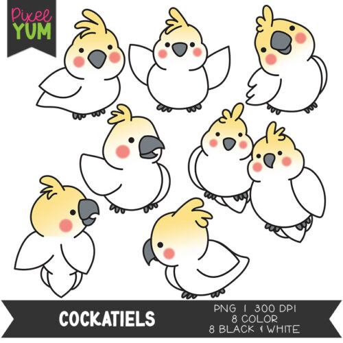 Cockatiel Clipart - Cute Bird Clip Art - Commercial Use OK's featured image