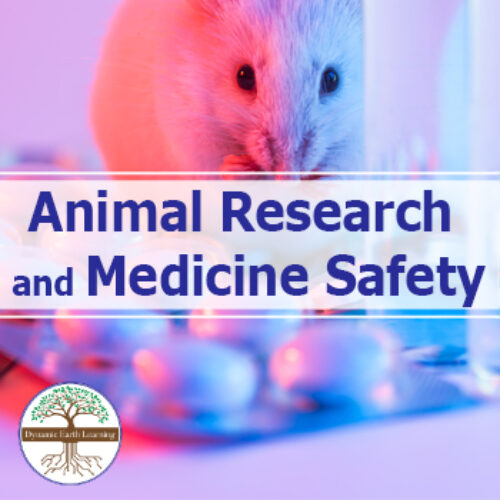Animal Research and Medicine Safety | Video, Handout, and Worksheets's featured image