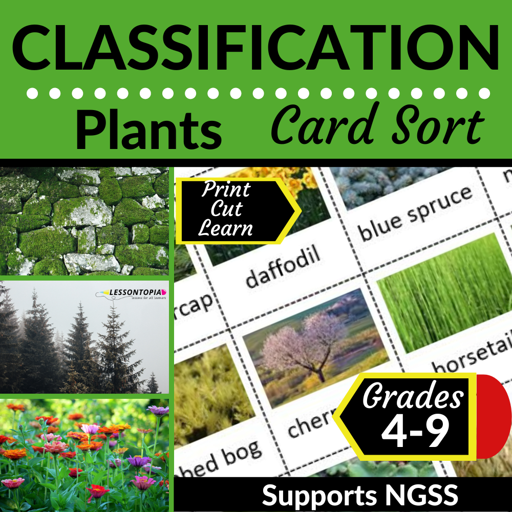 Plants | Classification | Card Sort