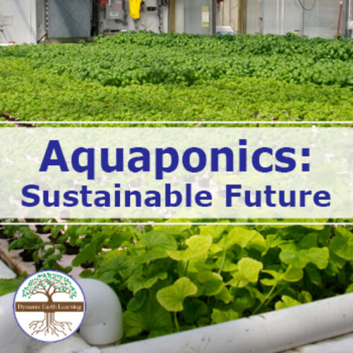 Aquaponics: Key to a Sustainable Future? | Video, Handout, and Worksheets's featured image