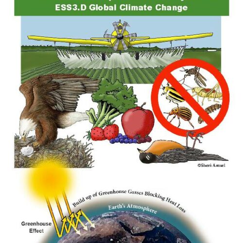 Human Impacts on Earth Systems and Climate Change - Grade 6-8 - Downloadable Only's featured image