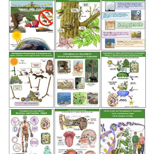 63 Color Diagrams Illustrating Next Generation Science Standards (NGSS) - Grade 6-8 - Downloadable Bundle's featured image