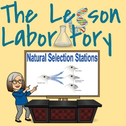 Natural Selection Stations (Inquiry Based Evolution Investigations)'s featured image