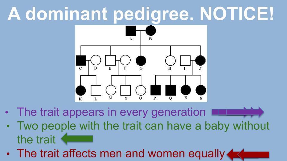 Determining Inheritance Patterns in Pedigree Charts - Classful